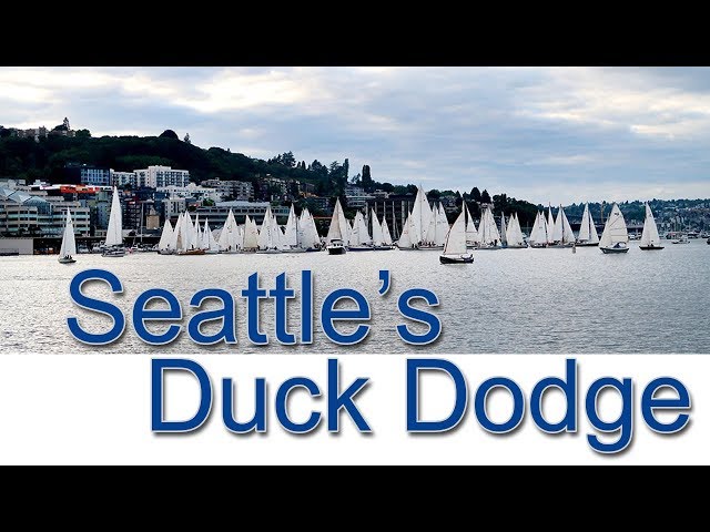 Seattle's Duck Dodge