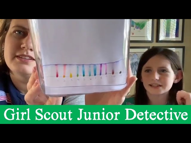 Girl Scout Junior Detective Badge