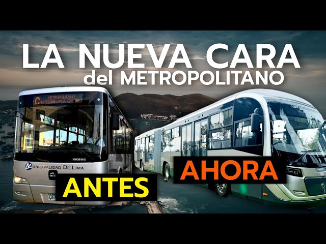 Modasa de 🇵🇪Perú DESTRUIRÁ Todos los Buses antiguos de Metropolitano | Nueva Flota 2024