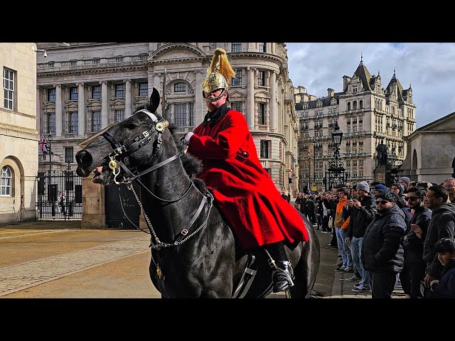 GUARD yells 'GET BACK' as crowd is almost TRAMPLED by overenthusiastic King's Horse!