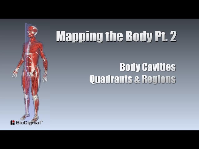 Mapping the Body Part 2