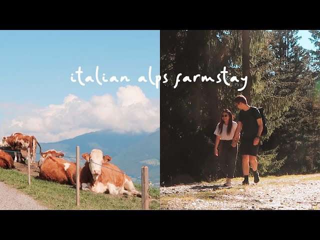 Farmstay in the Italian Alps