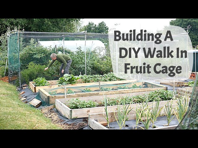 How To Build A DIY Walk In Fruit Cage