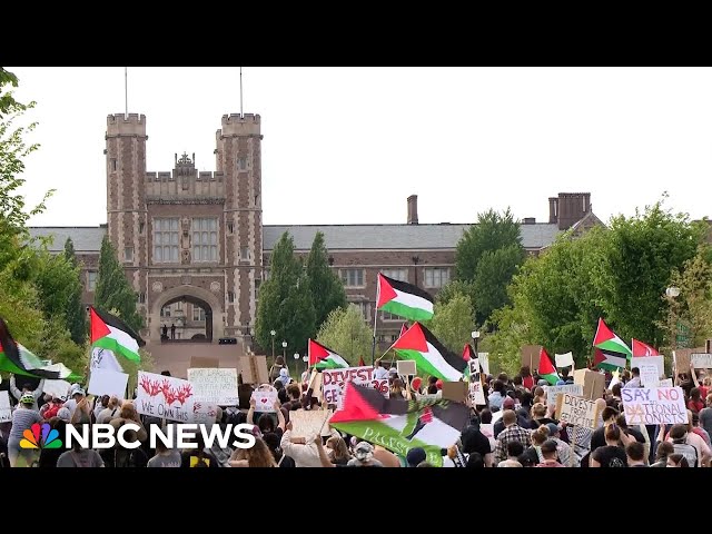 Jewish students say they feel 'terrified' during protests at Washington University