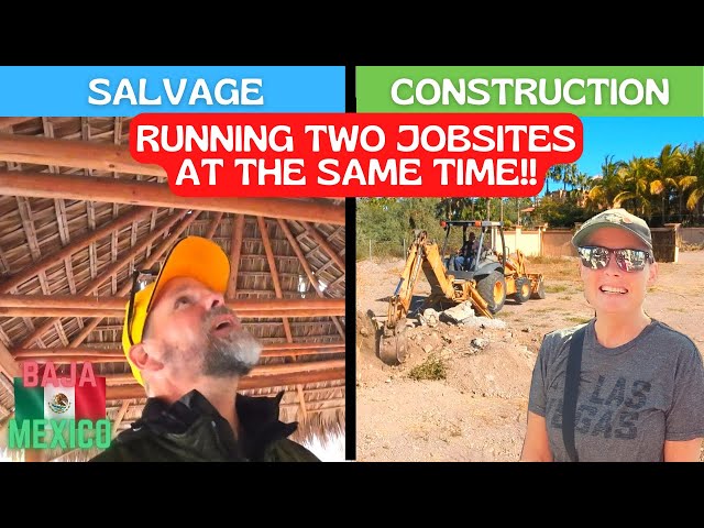 We have to split up to manage two big projects at the same time!