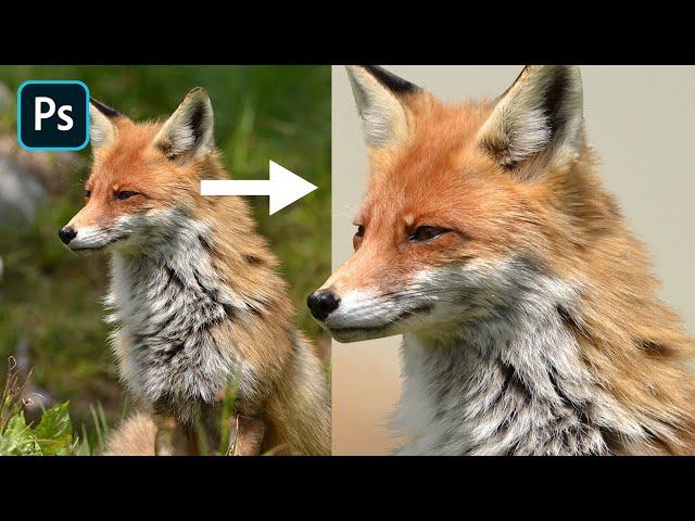 Photoshop Tutorial: Cut Out Animals With Lots of Fur
