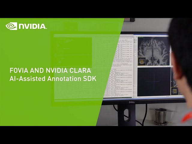 NVIDIA Clara: Accelerated AI Annotation with Fovia