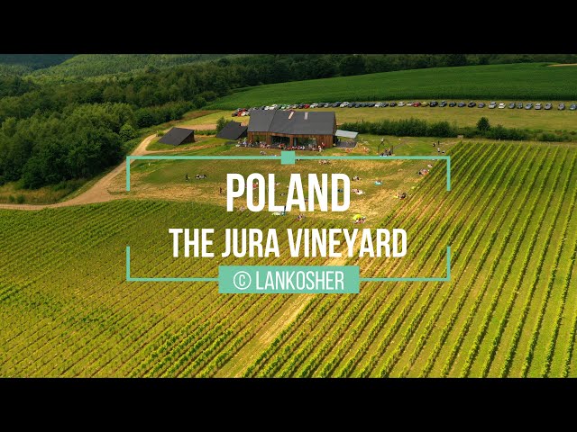 Jura Vineyard | Poland | Drone Video | Film z Drona | 2022