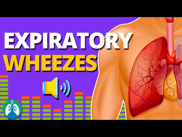 Expiratory Wheezes (Monophonic vs Polyphonic) | Respiratory Therapy Zone