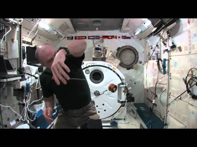 Yo-Yo Tricks In Space - Astronauts Tests His Skills | Video