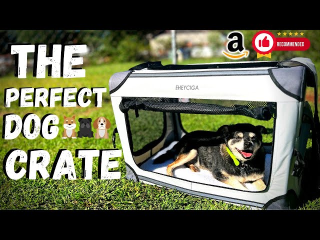 Portable/Collapsible Soft Dog Kennel Amazon - Review