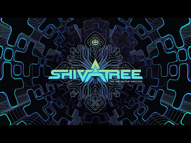 Shivatree -  The Unlimited Process (DJ Mix)
