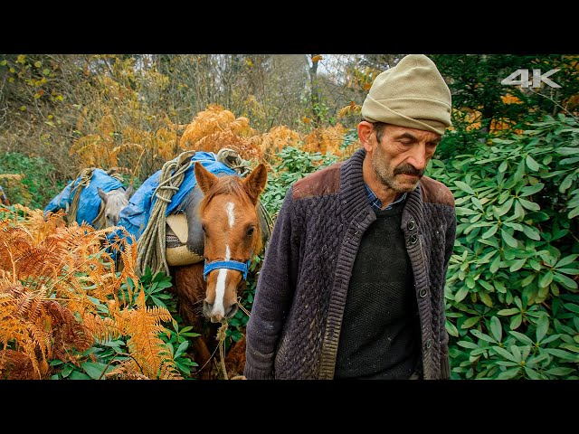 Zorlu Migration in Autumn - Journey from Plateau to Village | Documentary ▫️4K▫️