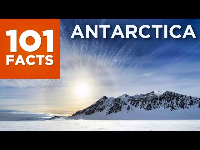 101 Facts About Antarctica