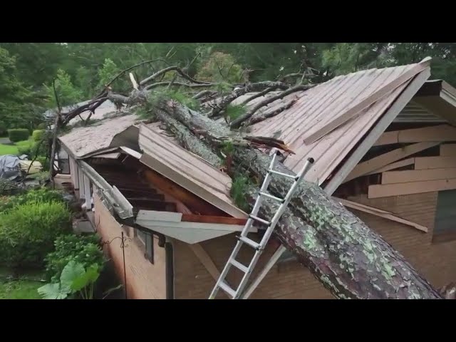 Storm video shows fallen trees, smashed car, ominous clouds | FOX 5 News