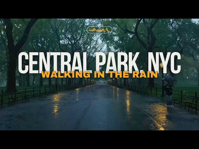 Walking in the Rain CENTRAL PARK, NYC | Binaural Heavy Rain Umbrella Thunder & Nature Sounds