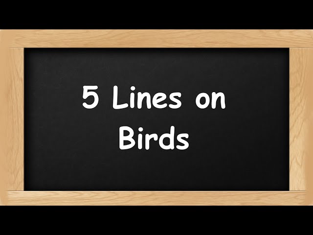 Birds Short 5 Lines in English || 5 Lines Essay on Birds