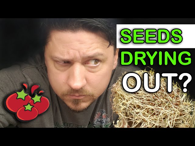 Prevent Seeds From Drying Out Trick - Garden Quickie Episode 26