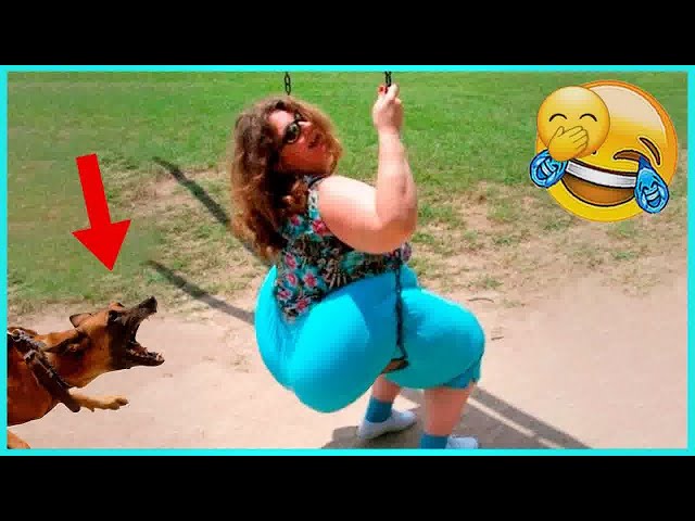 IMPOSSIBLE TRY NOT TO LAUGH 🐱 Best Compilation of Fail and Prank Videos 😹😆 Funny Memes 2024 #6