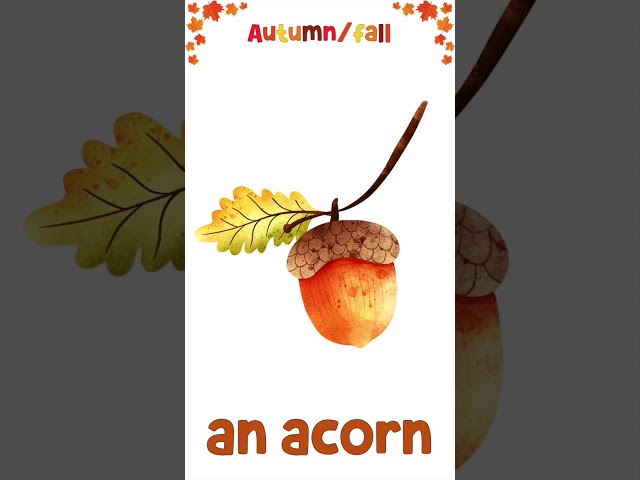Autumn | Talking Flashcards For Kids