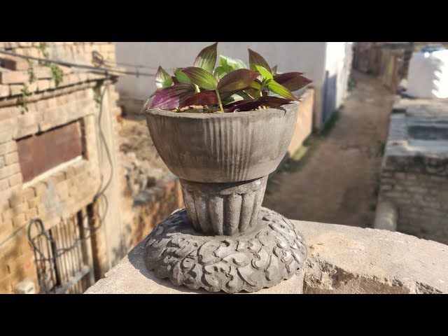 Make a beautiful pot from a plastic bucket