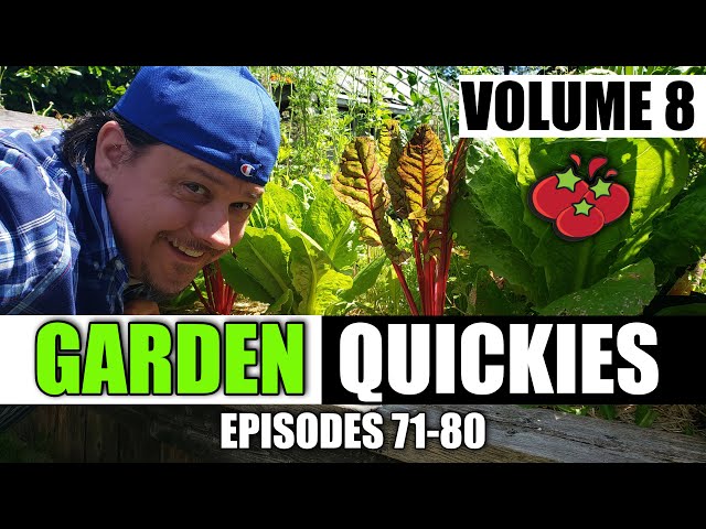 Garden Quickies Volume 8 - Episodes 71 to 80