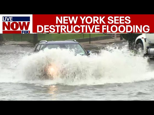 New York Flooding: Cars underwater in destructive 'life threatening' floods | LiveNOW from FOX