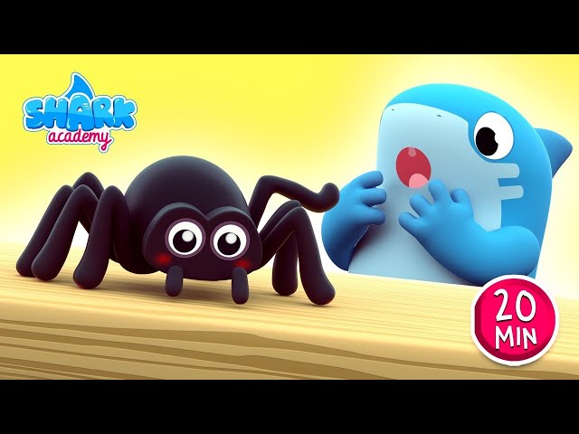 Itsy Bitsy Spider | Baby Shark version - Kids Learn About Spiders | Nursery Rhymes | Shark Academy