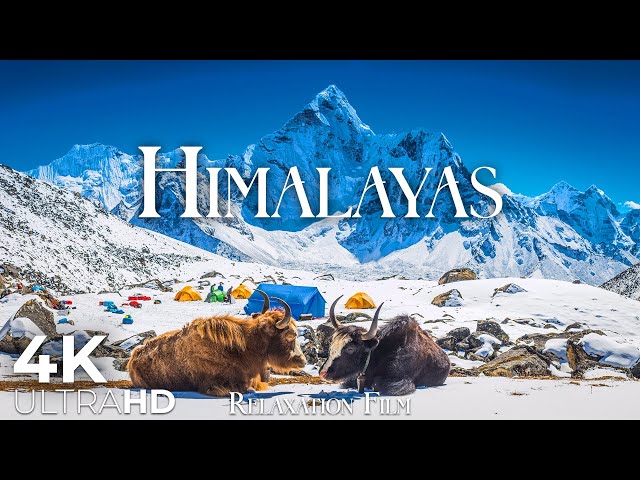 The Himalayas in 4K • Majesty of Everest Peak with Relaxing Music | Relaxation Film