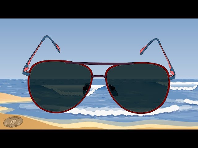 How Do Polarized Sunglasses Work?!