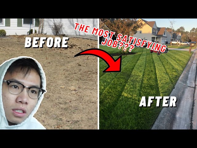 Landscaping for a week... | HERE'S WHAT HAPPENED