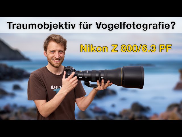Nikon Z 800mm f/6.3 PF - Erfahrungsbericht Vogelfotografie