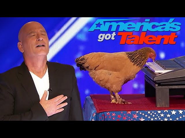 Chicken Plays America The Beautiful on The Piano