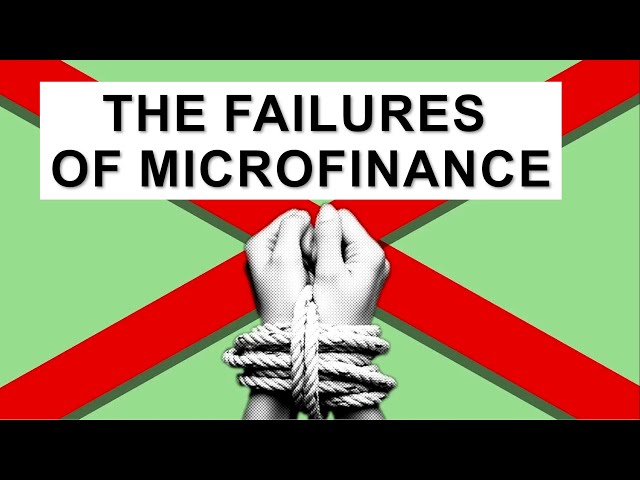 Failures Of Microfinance | The Real Reason Why Microfinance FAILS | Truth About Micro Businesses