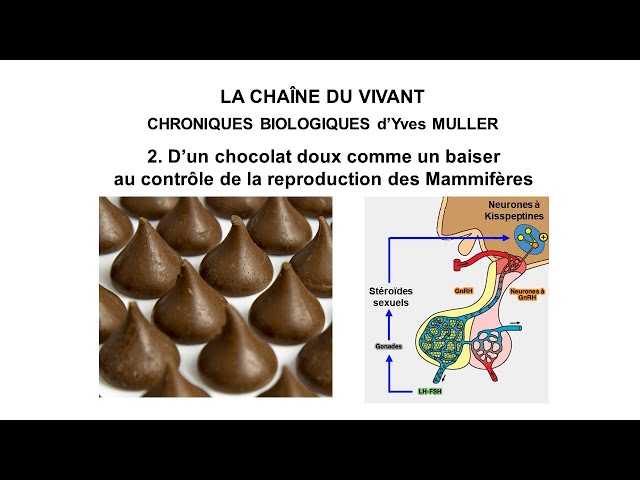 2. Biological Chronicles - From sweet chocolate like a kiss to mammalian reproductive control