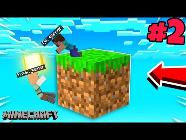 We Build A Castle In Minecraft One Block!! #2