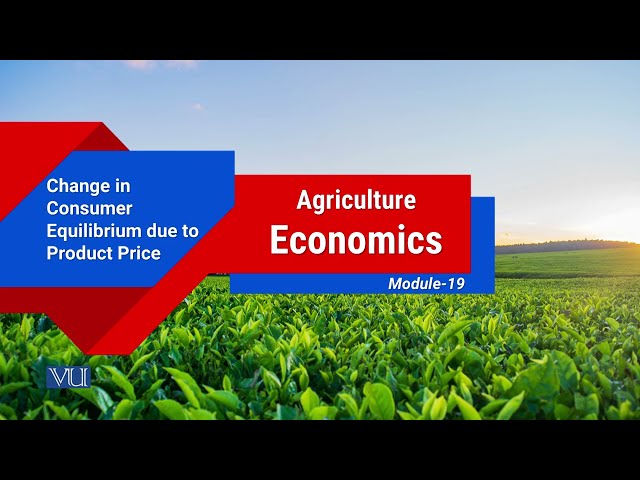 Change in Consumer Equilibrium due to Product Price | Agricultural Economics | ECO608_Topic019