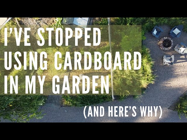 Why I stopped using cardboard in my garden prep