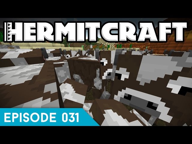 Hermitcraft IV 031 | NEW ELYTRA LAUNCHER | A Minecraft Let's Play