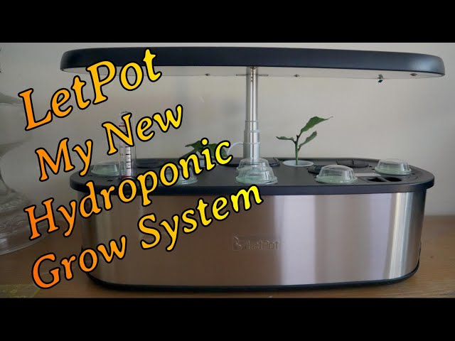 LetPot - My New Hydroponics Grow System