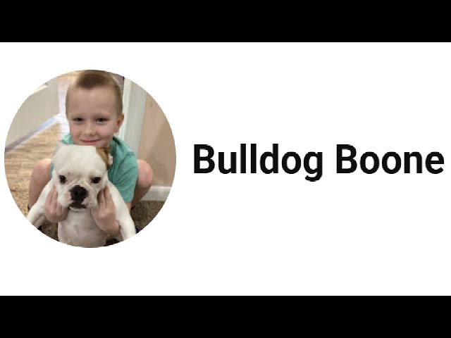 SUBSCRIBE ALERT: Bulldog Boone