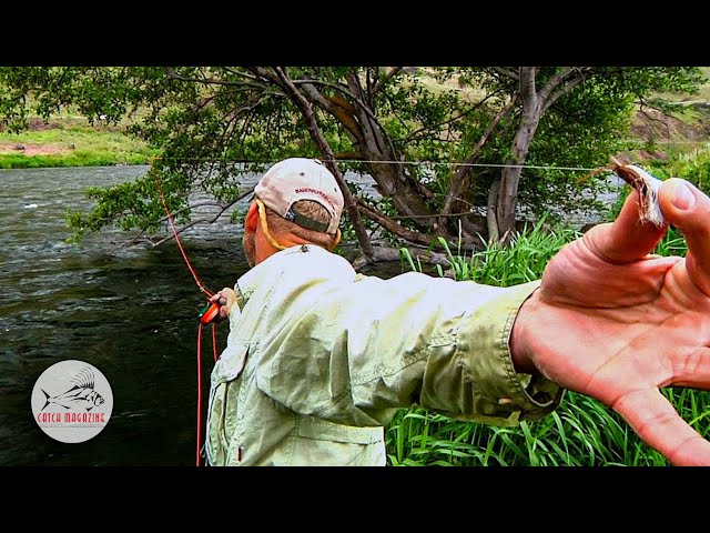 Fly Fishing Deschutes River Salmon Flies by Todd Moen