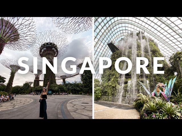 Exploring Singapore! A Singapore Travel Guide | by Erin Elizabeth