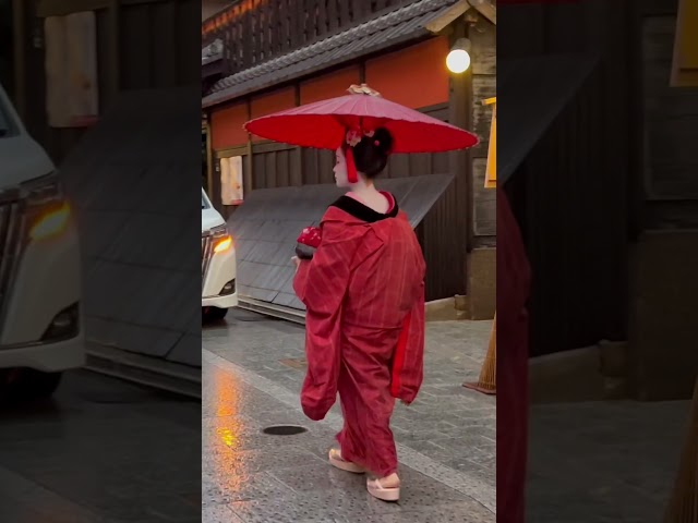 和傘をさして一力亭に向かう舞妓さん #京都 #舞妓