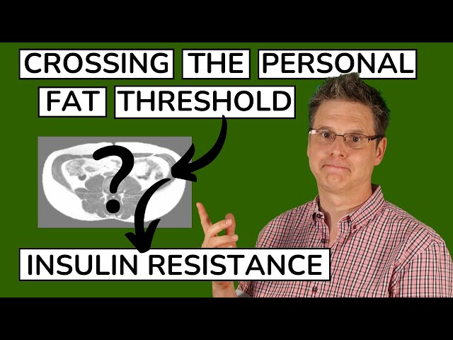 Causes of Insulin Resistance: The Personal Fat Threshold