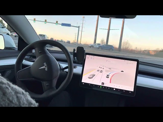 Can Tesla FSD beta drive when blinded by sun?
