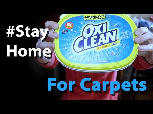 OXI CLEAN FOR CARPETS USE AND REVIEW | #StayHomeAndClean | CLEAN FOR THE HOLIDAYS