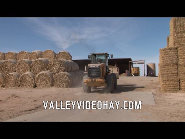Valley Video Hay Market- Timed Auction / Sept. 15, 2016