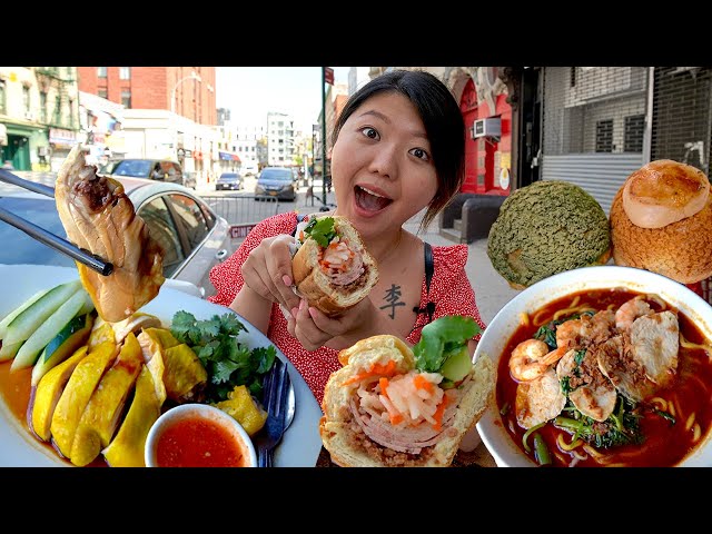 GIANT Banh Mi & Malaysian Food FEAST! NYC Chinatown Eats
