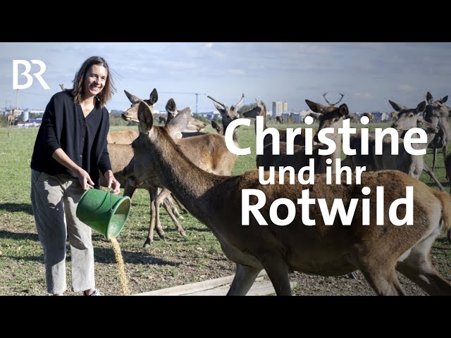 Wiese, Wild & Wald: Bio-Landwirtin Christine Huber liebt Rotwild und Kräuter | Landfrauenküche | BR
